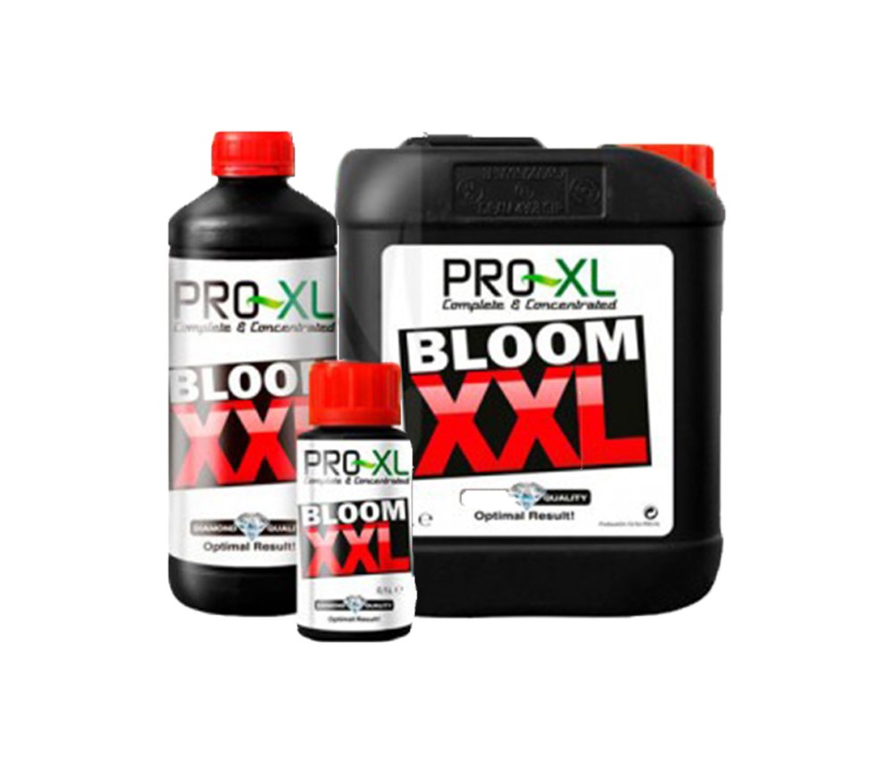 Bloom XXL de Pro XL