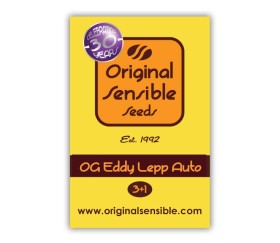 Auto OG Eddy Lepp de Original Sensible Seeds