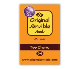 Trop Cherry de Original Sensible Seeds