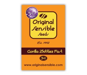 Gorilla Zkittlez Fast Version de Original Sensible Seeds