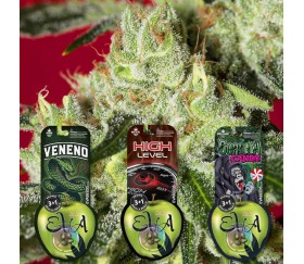 Pack de semillas Dulces 1 de Eva Seeds