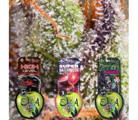 Pack de semillas Dulces 2 de Eva Seeds