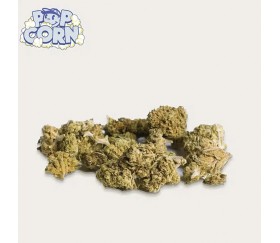 CBD Pop Corn Blue Candy de Xuxes