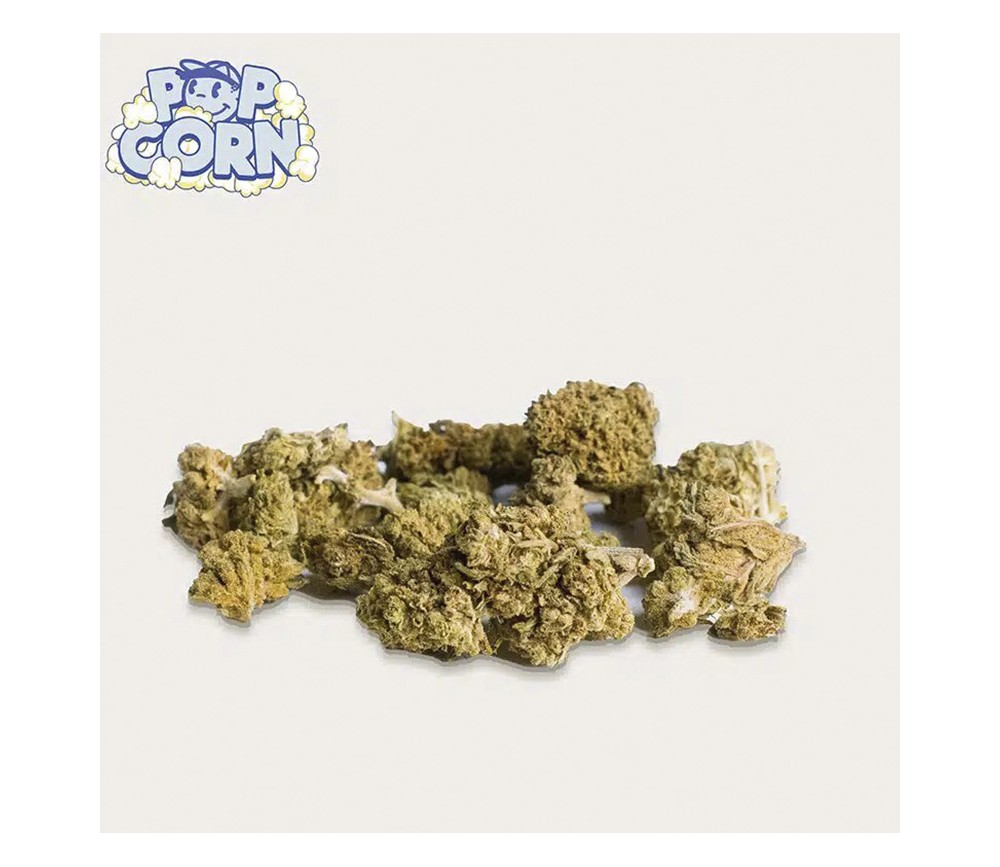 CBD Pop Corn Blue Candy de Xuxes