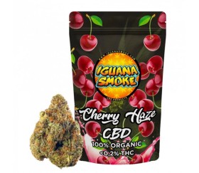 CBD Cherry Haze de Iguana Smoke