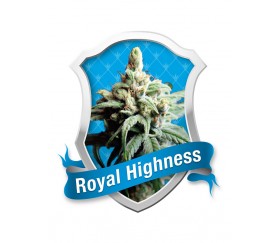 Royal Highness de Royal Queen Seeds