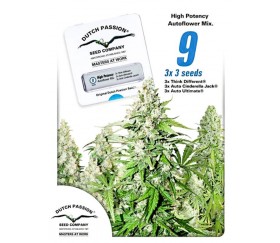 High Potency Autoflower Mix - Dutch Passion