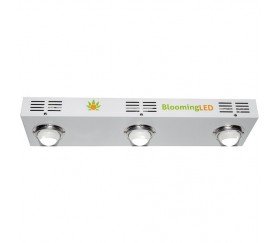 PANEL BLOOMINGLED 160W