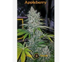 Appleberry - Sumo Seeds