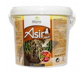 Asir Fruit