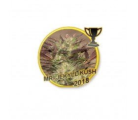 Mr Jekyll Kush - Mr Hide Seeds