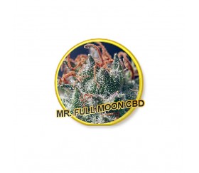 Mr. Full Moon CBD - Mr. Hide Seeds