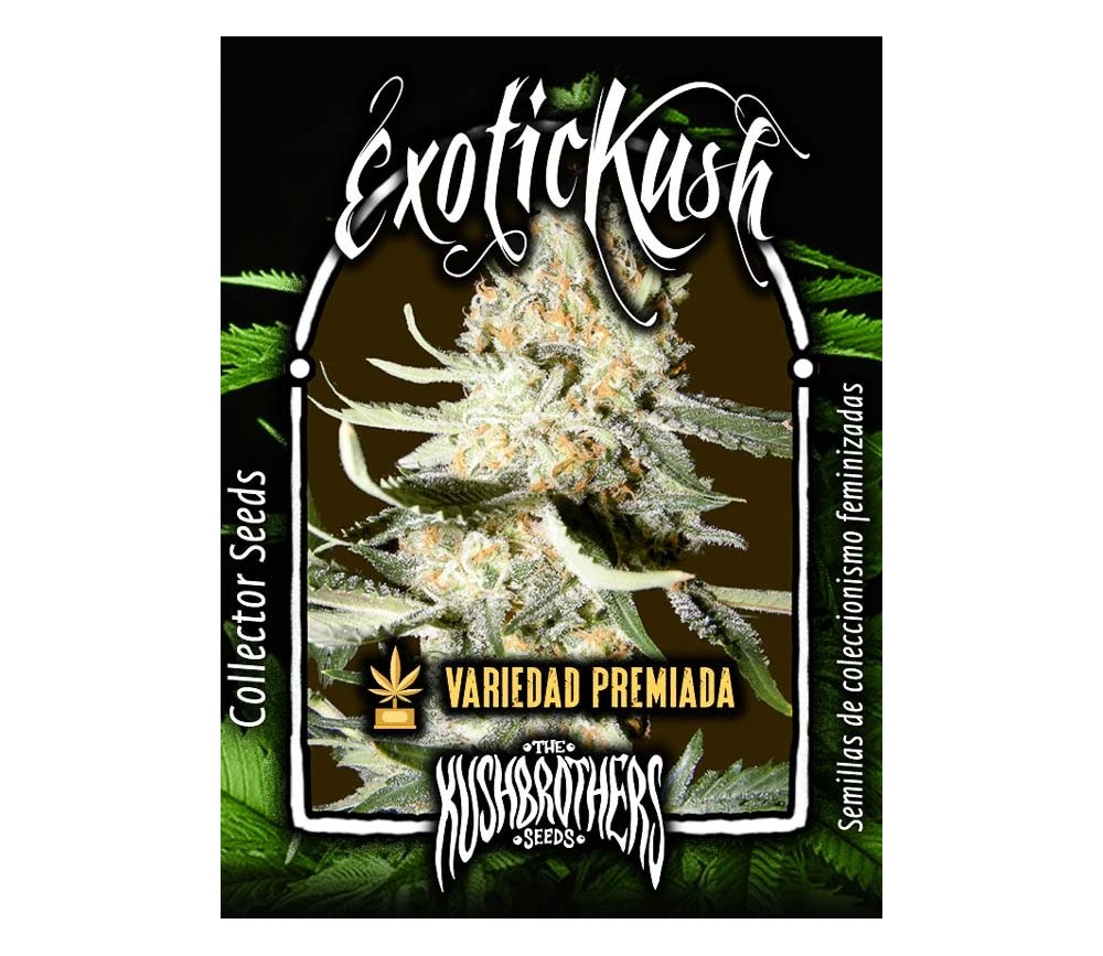 Exotic Kush - The Kush Brothers