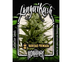 Langui Kush - The Kush Brothers