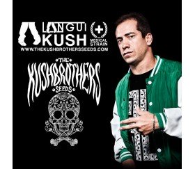 Langui Kush - The Kush Brothers