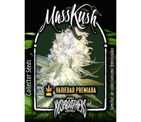 Masskush - The Kush Brothers