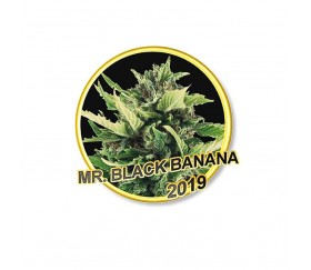 MRr. Black Banana - Mr. Hide Seeds