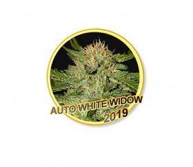 Auto White Widow - Mr. Hide Seeds