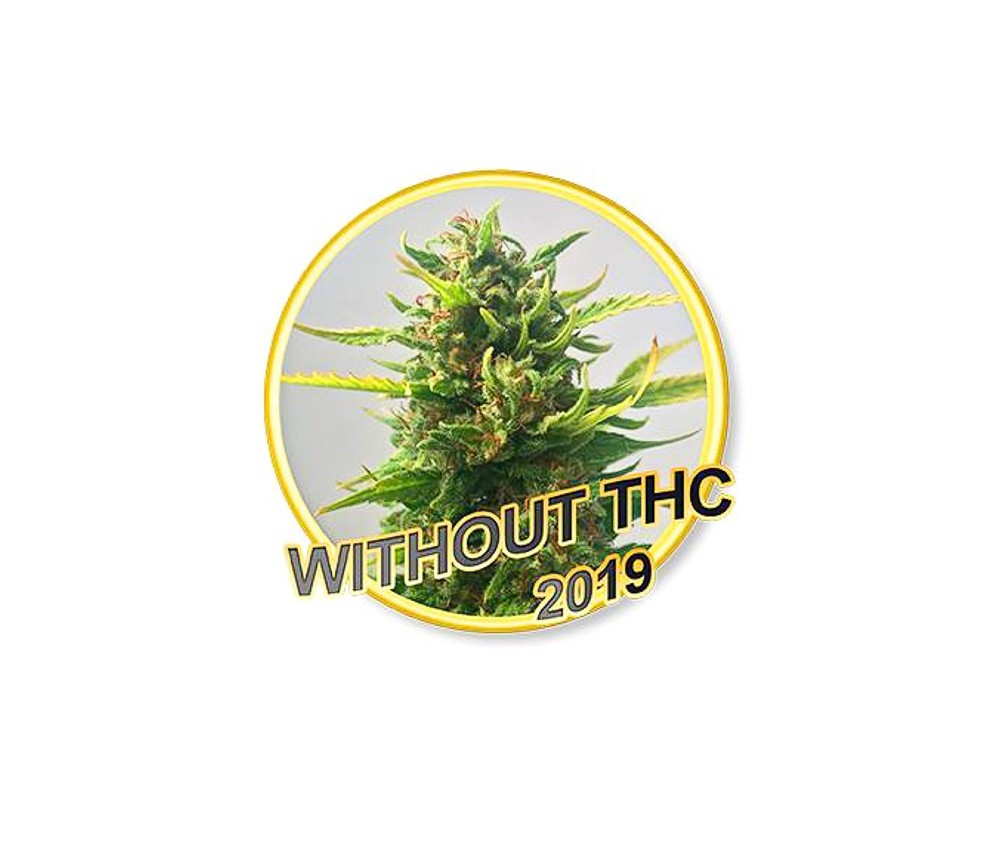 CBD Without THC - Mr. Hide Seeds