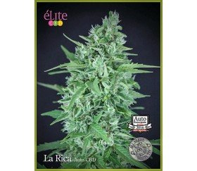 LA RICA AUTO CBD