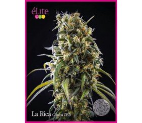 La Rica Clásica CBD - Élite Seeds