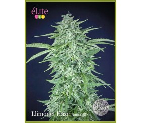 LLIMONET HAZE AUTO CBD