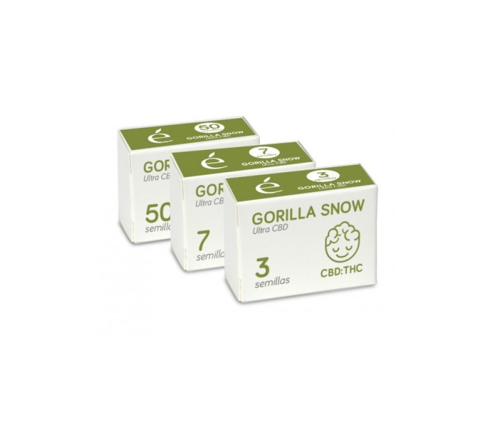 Gorilla Snow Ultra CBD - Elite Seeds