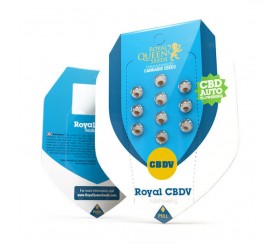 Royal CBDV Automatic - Royal Queen Seeds