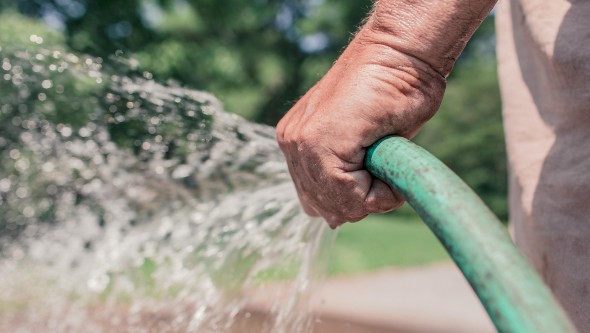 Wassertemperatur für Cannabis im Freien