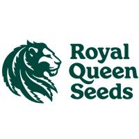 Royal Queen Seeds