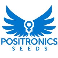 Positronics Seeds