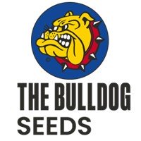 The Bulldog Seeds