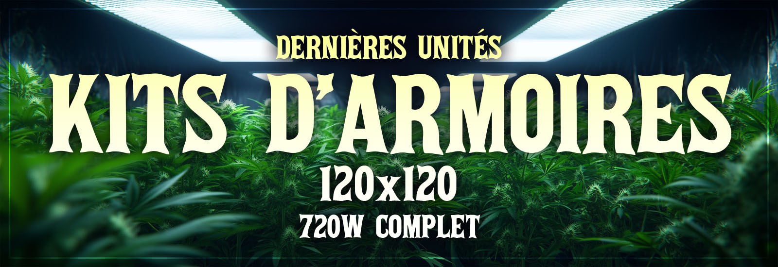 747a853bcd49d727b900d80d5aef88d4575bb408_kits-armoires-cannabis.jpg