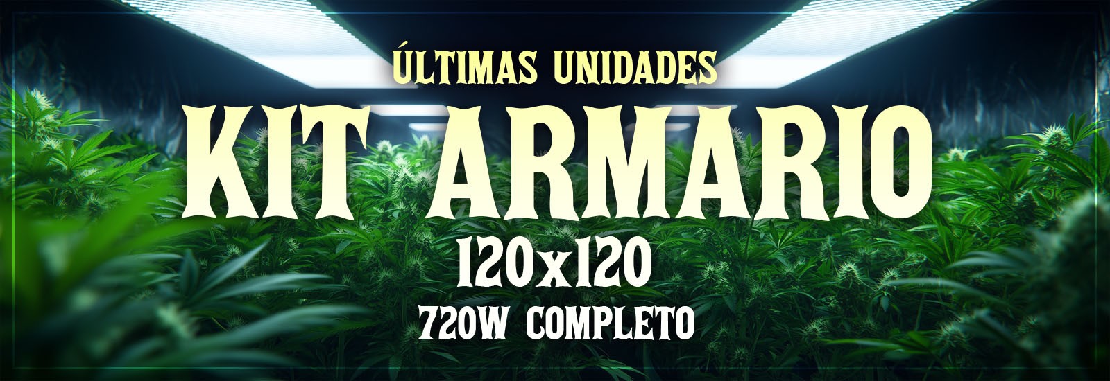 7d6896e4150cd48fad01a85c1aaaf69a98b760ba_armarios-cultivo-cannabis.jpg