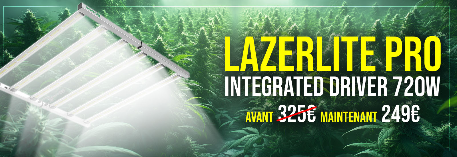 8681fc7a6d859dd1448d6bf80c05517d05adda21_lampe-led-bon marché-pour-la culture-du-cannabis.jpg