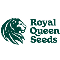 Royal Queen Seeds