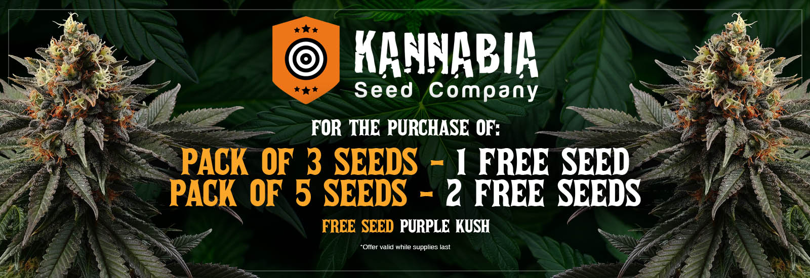 Kannabia Seeds