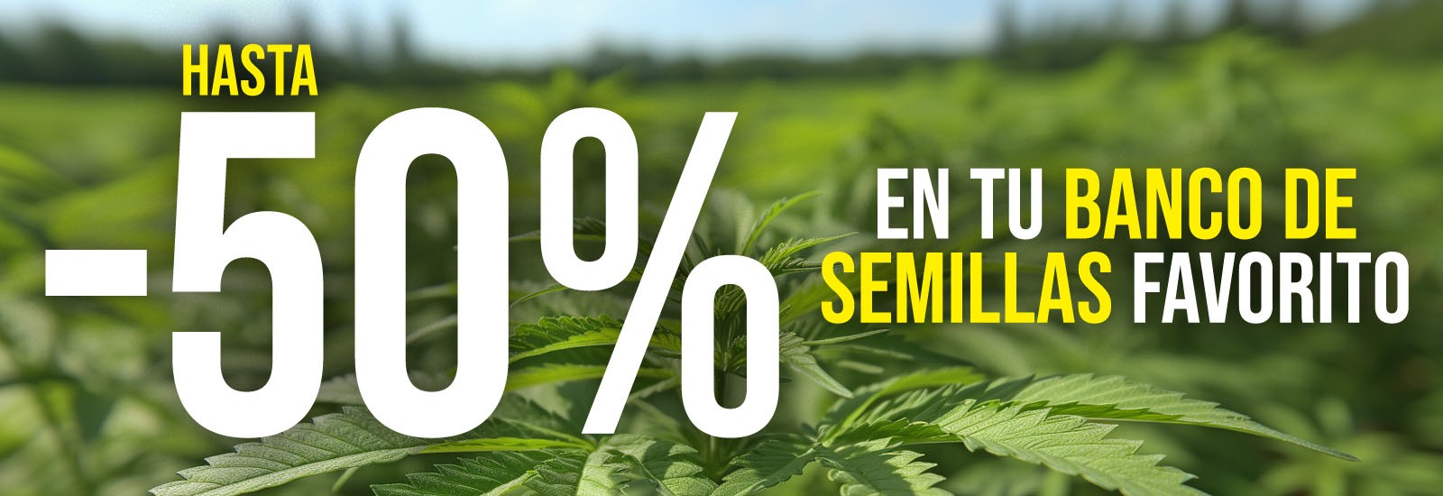 Venta de pipas para fumar cannabis - La Huerta Grow Shop