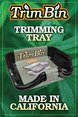 Trim Bin Tray